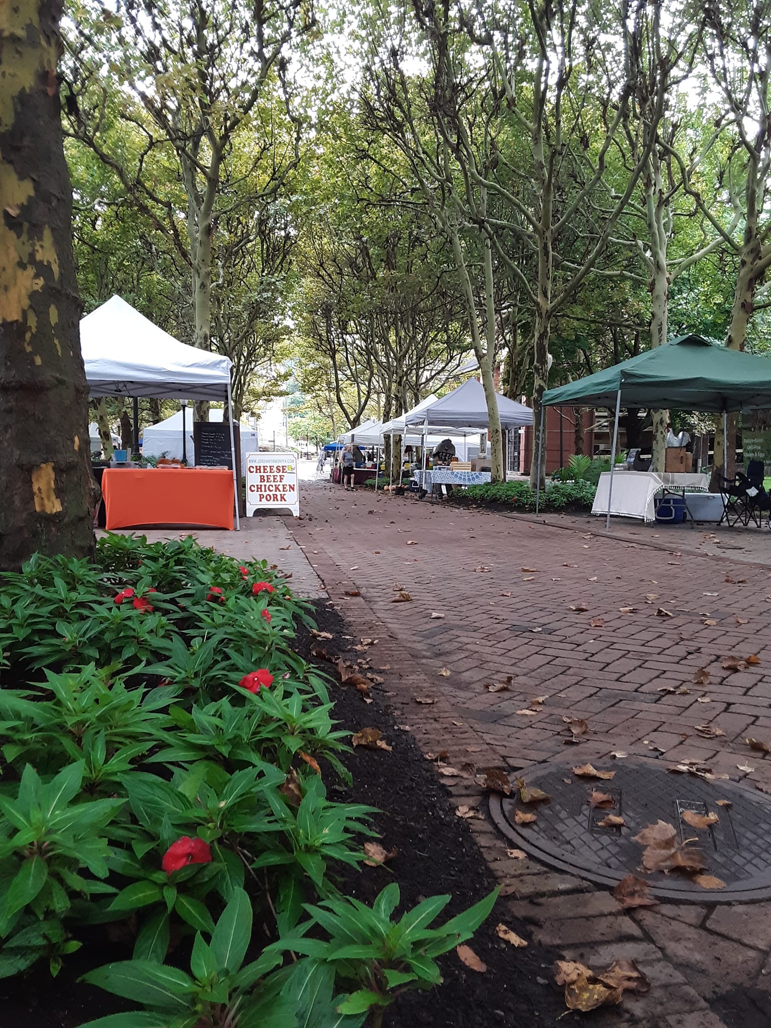 corning market2.jpg