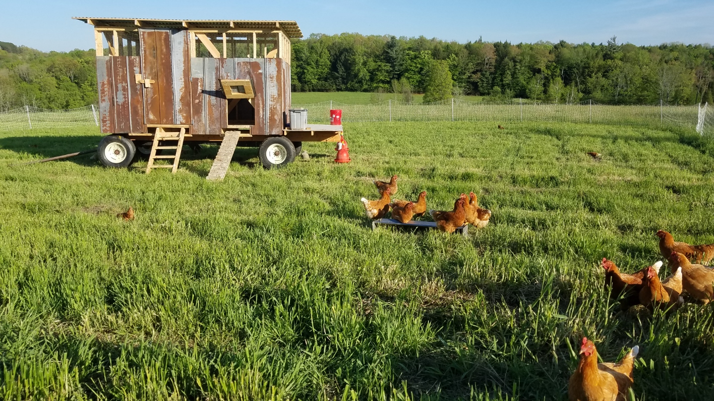 eggmobile.jpg